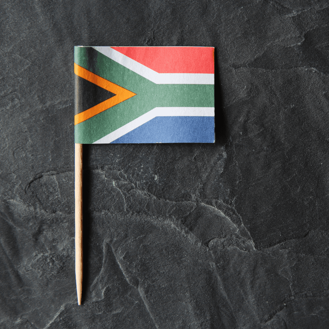 south african flag