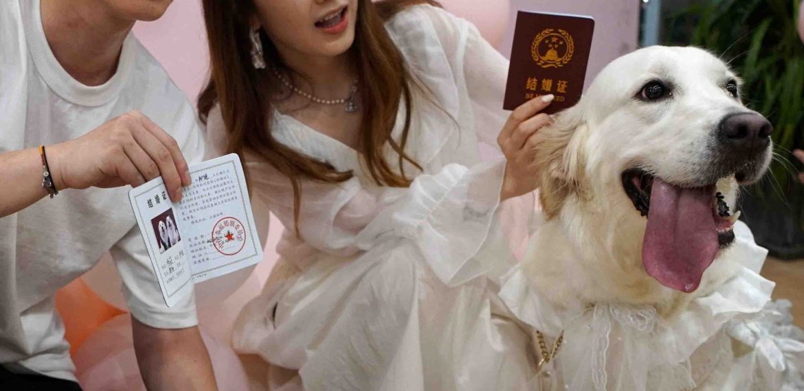 Puppy Love Hot Fm