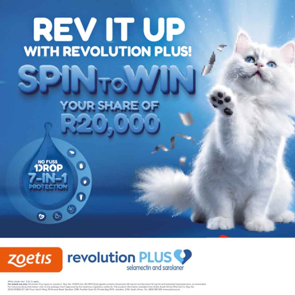 rev-it-up